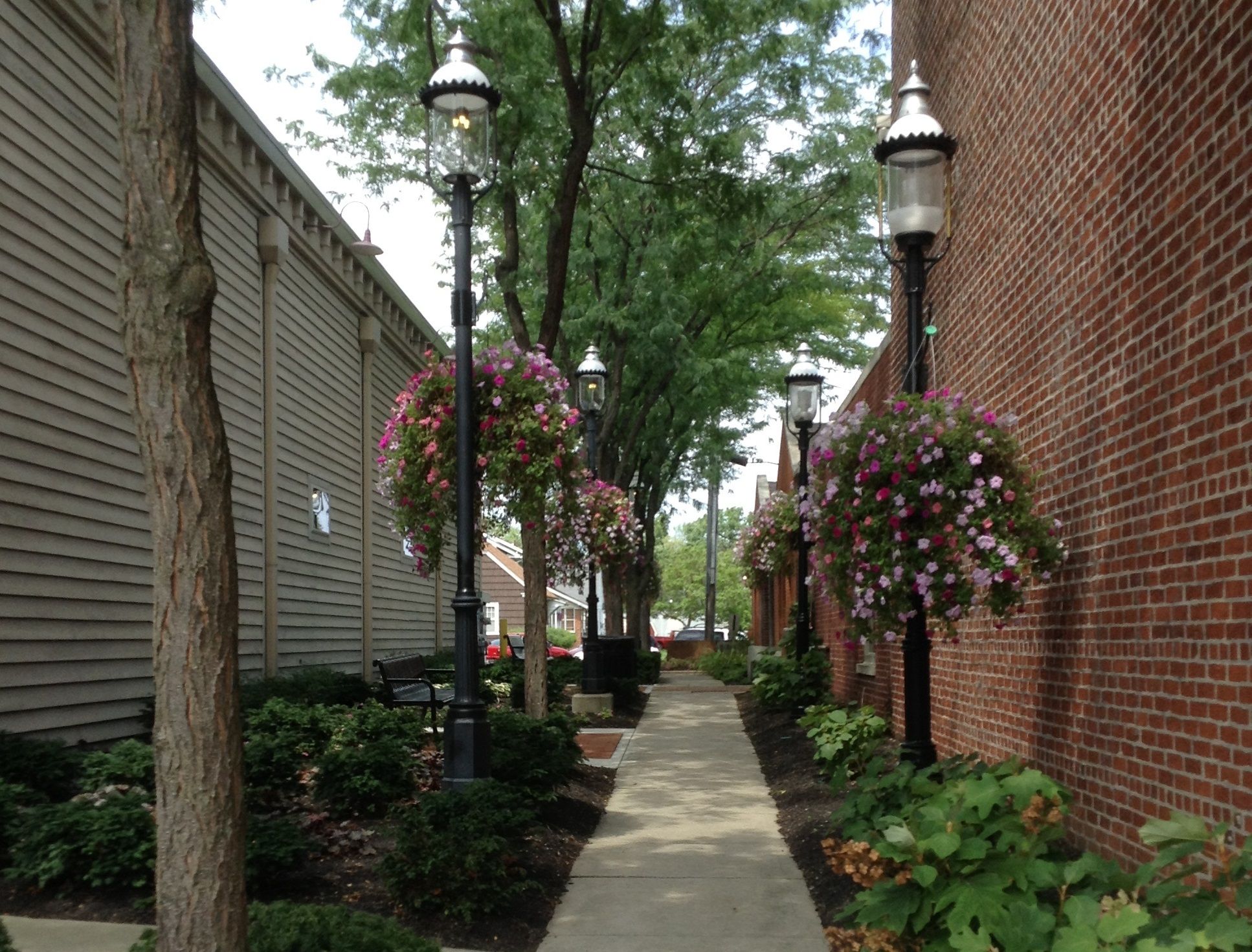 Dumpster Rental in Grove City OH