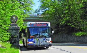 bikeonbusedenpark600x364.jpg