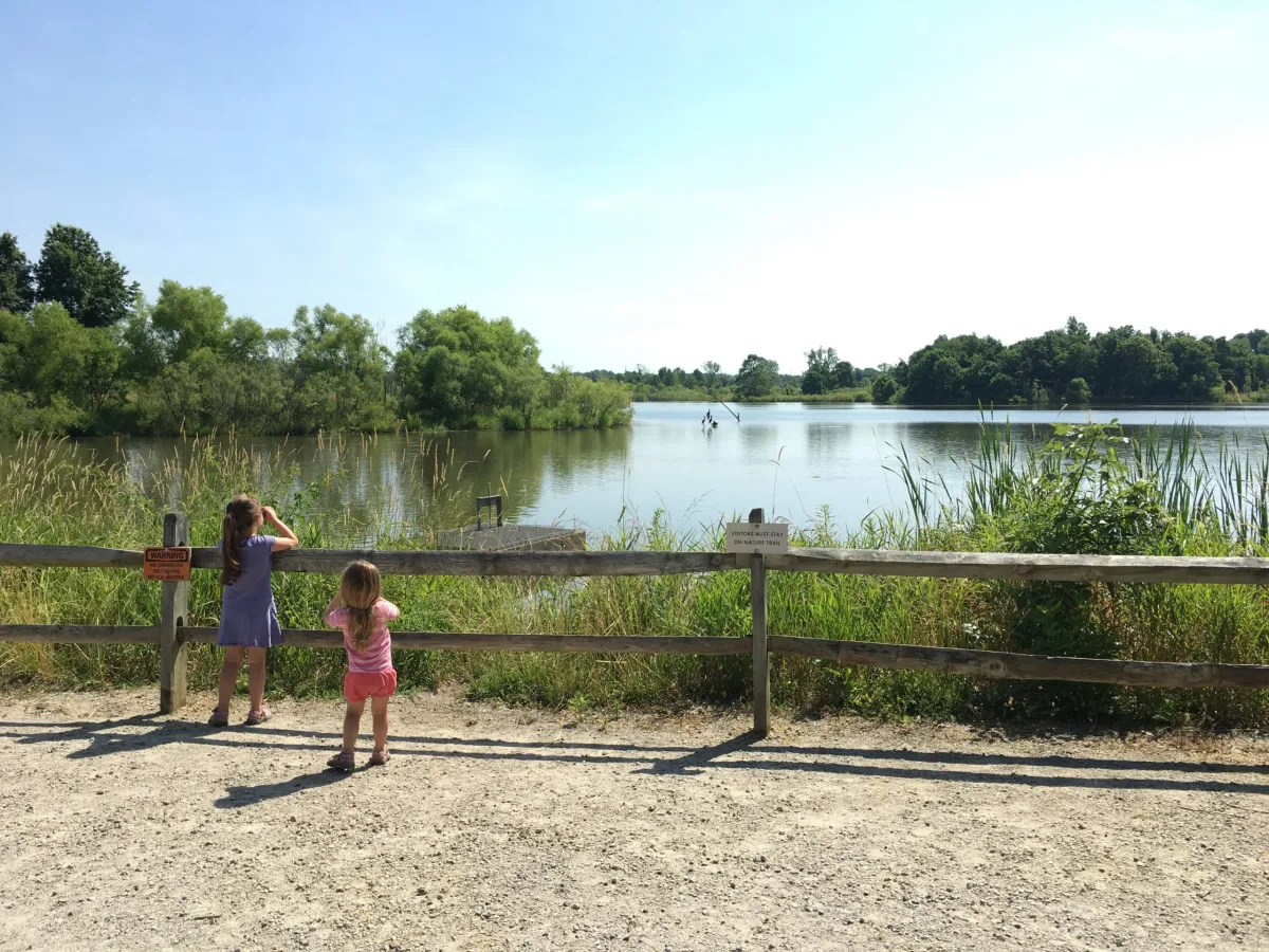 Pickerington Dumpster Rental